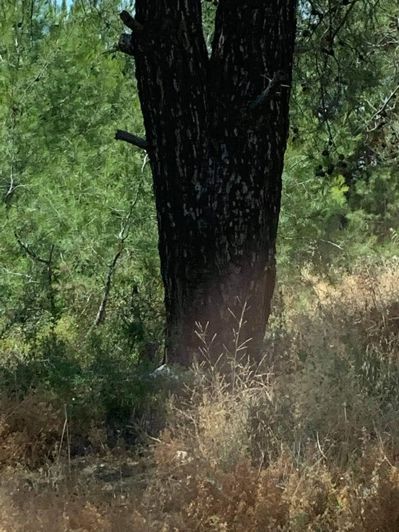 Image No.1-Property for sale