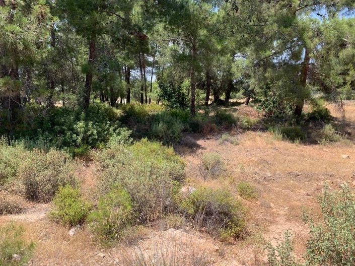 Image No.2-Property for sale