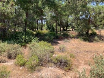 full60b06f27b963b1622175527