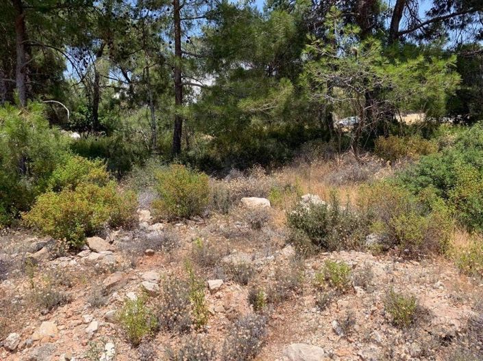 Image No.3-Property for sale