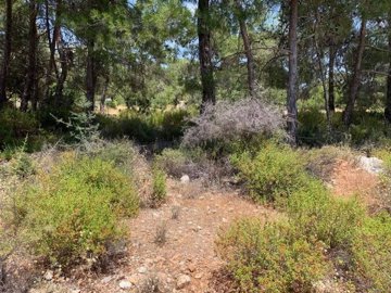 full60b06f29ea6311622175529