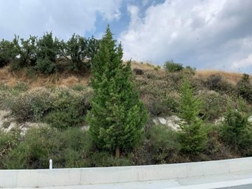 full61d9c96b49f6c1641662827