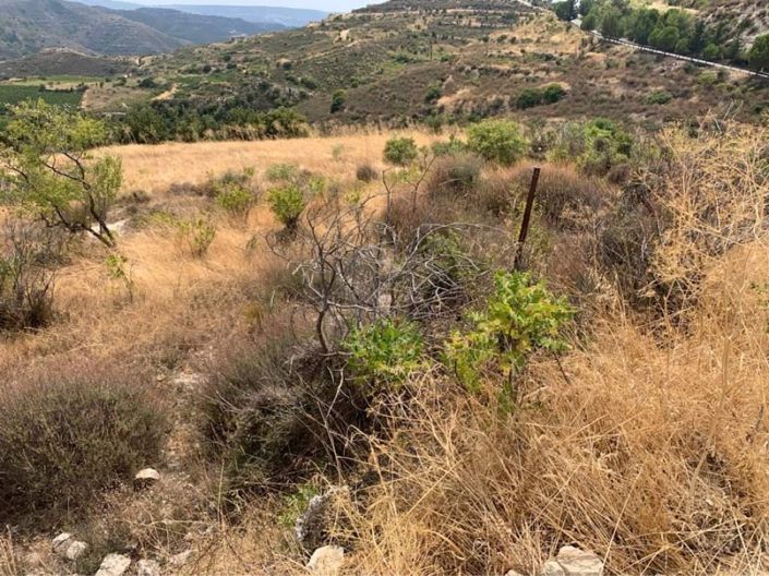 Image No.3-Property for sale