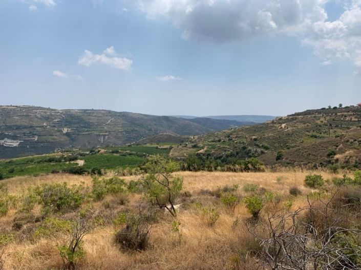 Image No.4-Property for sale