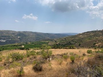 full61d9c96cb94f81641662828