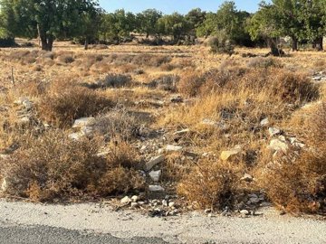 full64ca21de17e841690968542