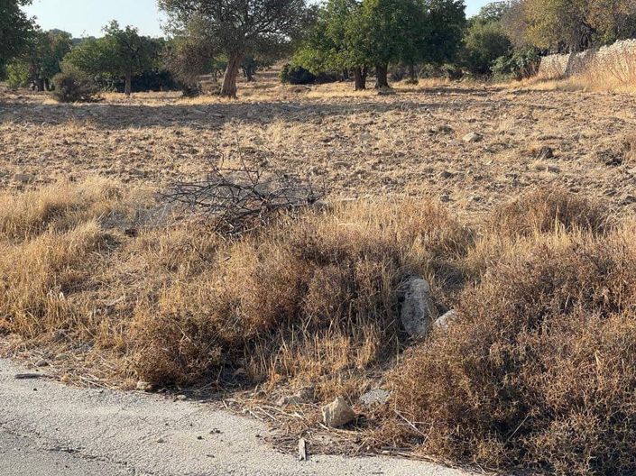 Image No.3-Property for sale