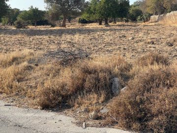 full64ca21df86ccb1690968543