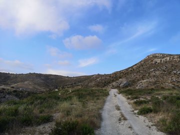 full5eb4dd8d3ec9d1588911501