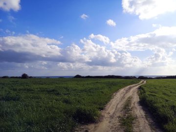 full5e317cb3b9da81580301491