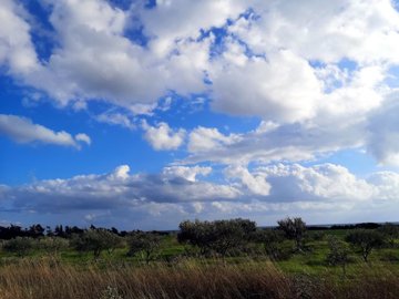 full5e3182623d2ee1580302946