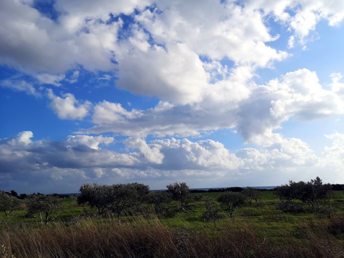 Image No.7-Property for sale