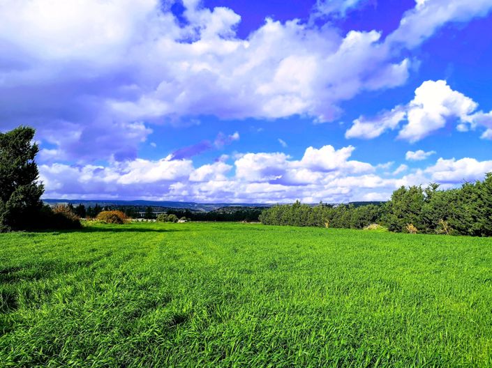 Image No.8-Property for sale