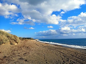 full5e317c313e4dd1580301361