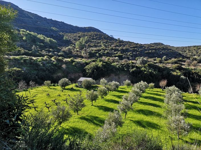 Image No.3-Property for sale