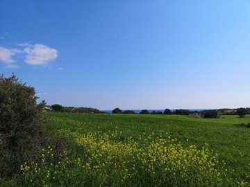 full5f0c83a5276251594655653