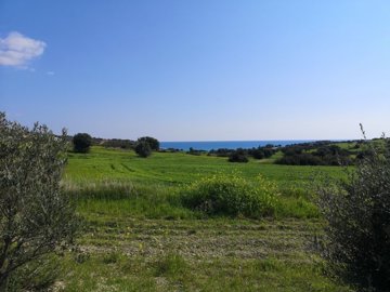 full5f0c83a93d82c1594655657