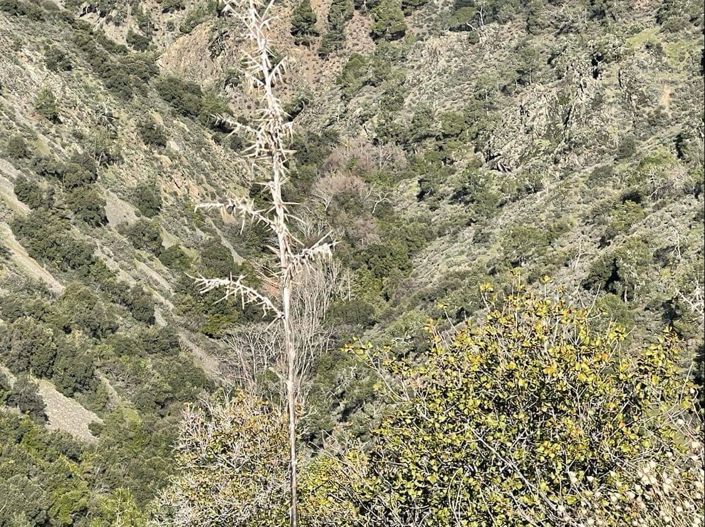 Image No.1-Property for sale