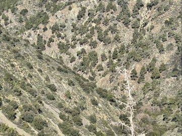 full621a38852828e1645885573