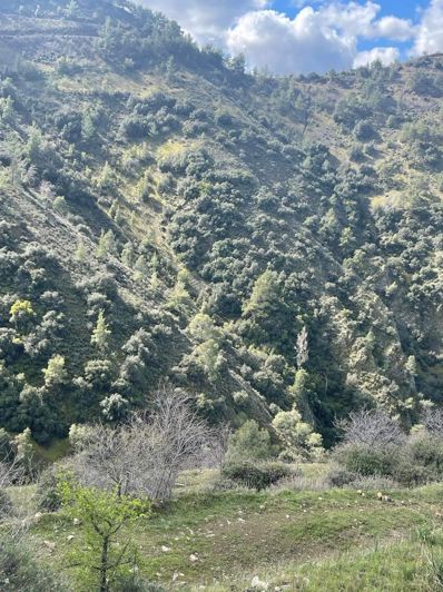 Image No.3-Property for sale