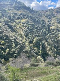 full621a3886d18c11645885574