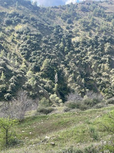 Image No.4-Property for sale