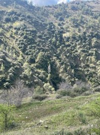 full621a38883b1881645885576