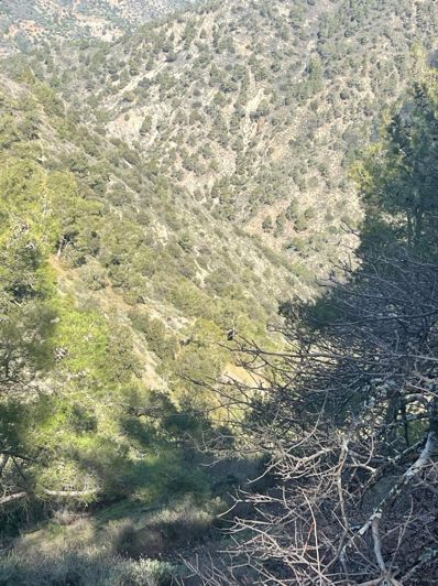 Image No.6-Property for sale