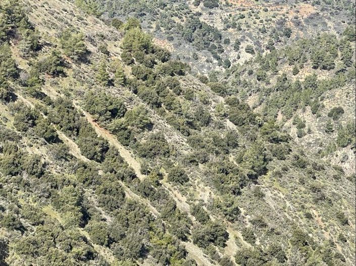 Image No.7-Property for sale