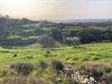 full602bd8d3468df1613486291