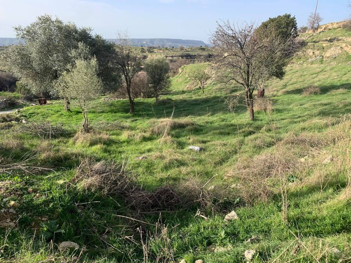 Image No.2-Property for sale