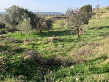 full602bd8d9def3b1613486297