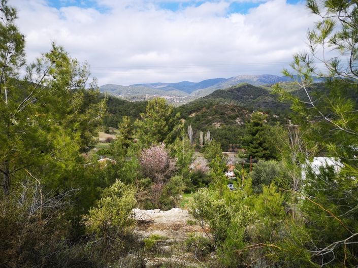 Image No.3-Property for sale