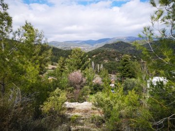 full60522114771441615995156