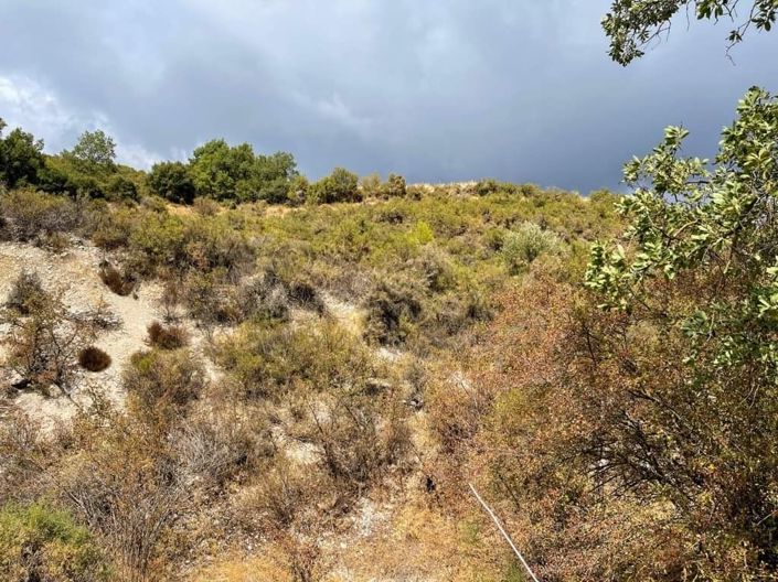 Image No.1-Property for sale