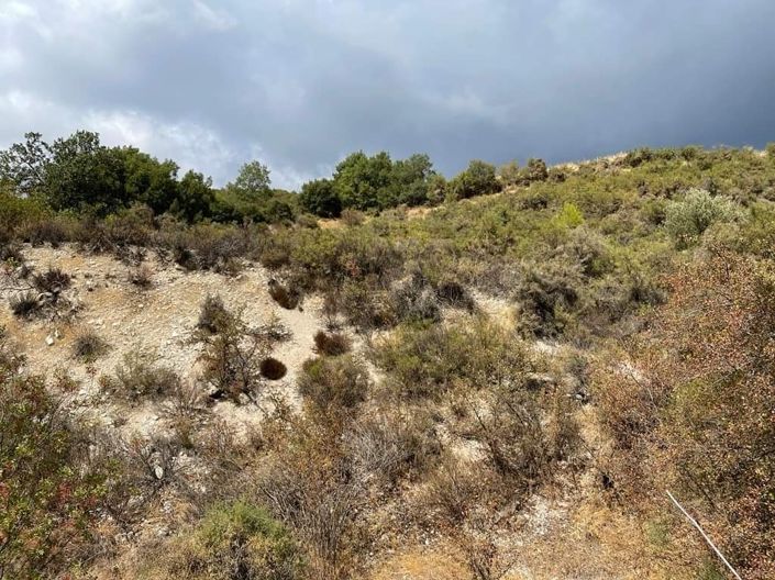 Image No.2-Property for sale