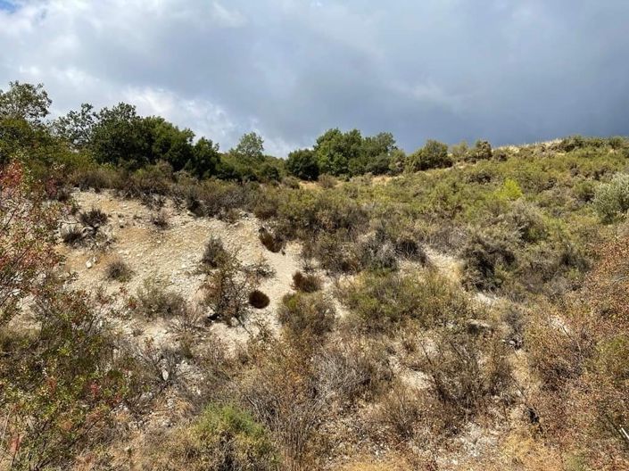 Image No.3-Property for sale