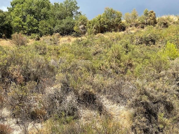 Image No.4-Property for sale