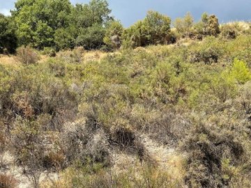 full6141a61905b491631692313