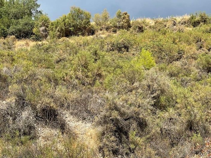 Image No.5-Property for sale