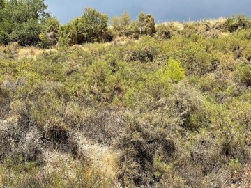 full6141a619c952b1631692313