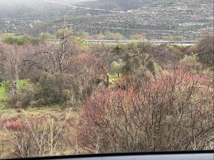 Image No.1-Property for sale