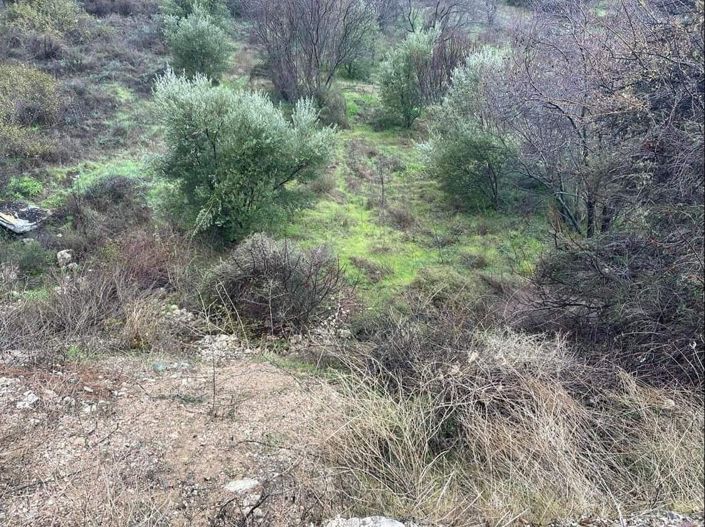 Image No.2-Property for sale