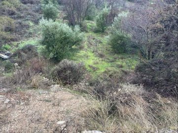 full61f8d6968d7db1643697814