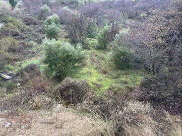 full61f8d697836c11643697815