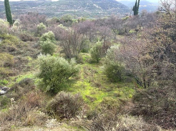 Image No.4-Property for sale