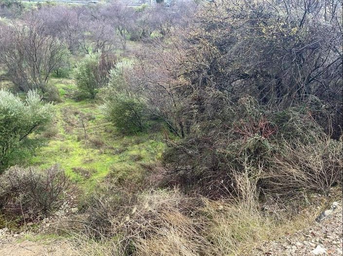 Image No.5-Property for sale