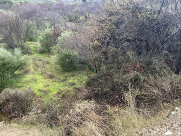 full61f8d69954f131643697817