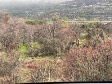 full61f8d69aaff621643697818