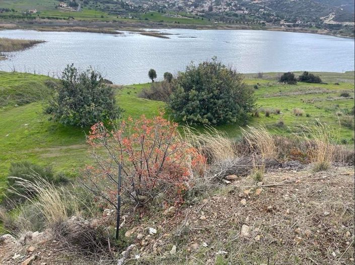 Image No.2-Property for sale